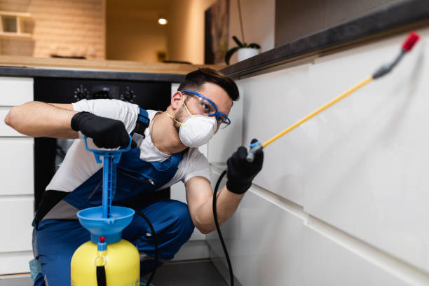 Best Wasp Removal Services  in Roslyn, NY