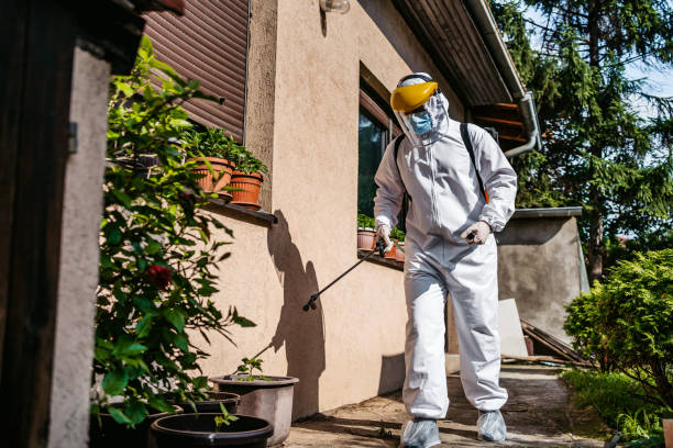 Best Bed Bug Extermination  in Roslyn, NY