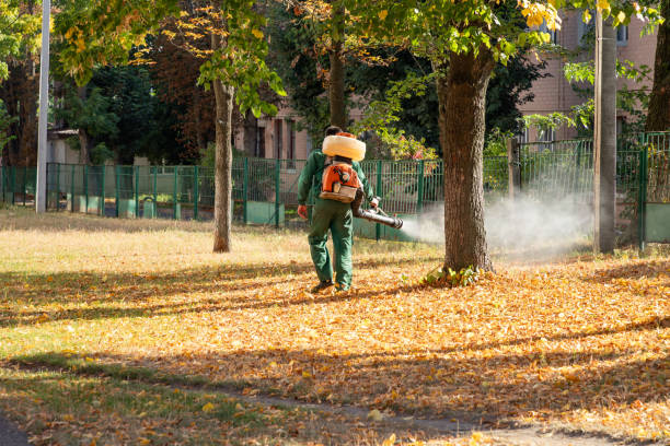 Wildlife Control Services in Roslyn, NY