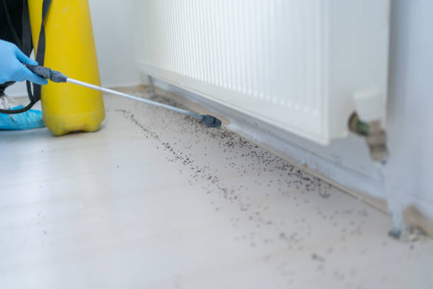 Best Flea Control Services  in Roslyn, NY