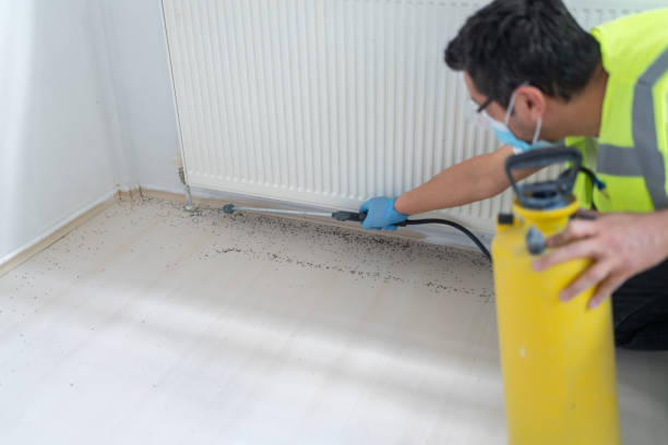 Best Best Pest Control Companies  in Roslyn, NY