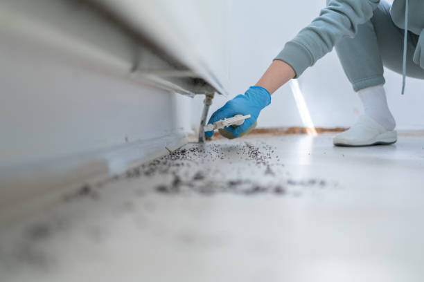 Best Commercial Pest Control Services  in Roslyn, NY